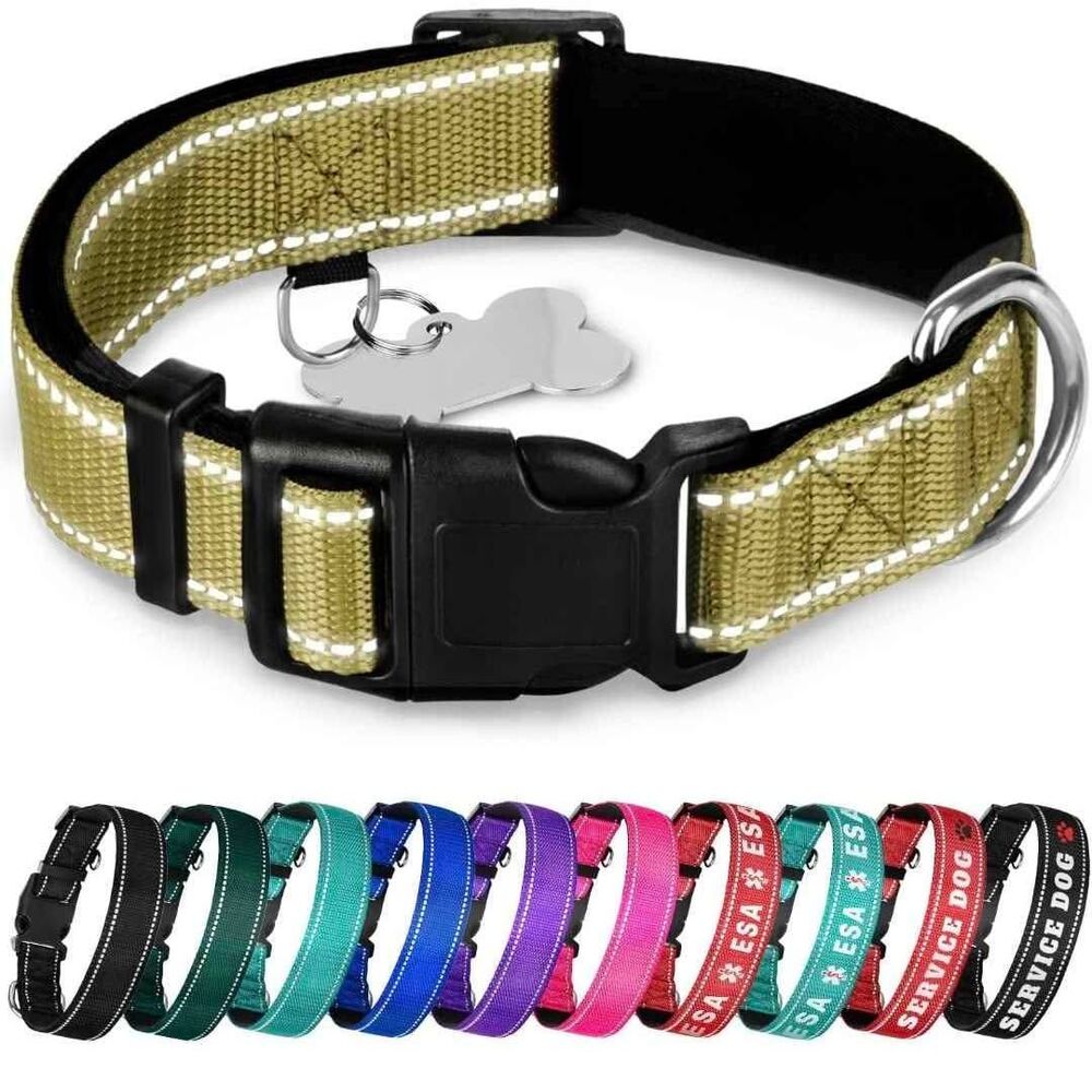 TECEUM Reflective Dog Collar- Olive ,M ,Extra Soft Padding , Nylon